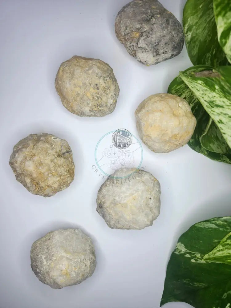 BREAK YOUR OWN GEODE ROUGH STONE - ROUGH STONES