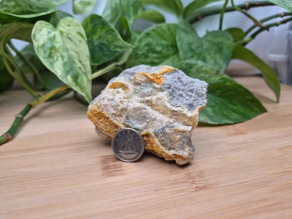 BUMBLEBEE JASPER ROUGH CHUNK