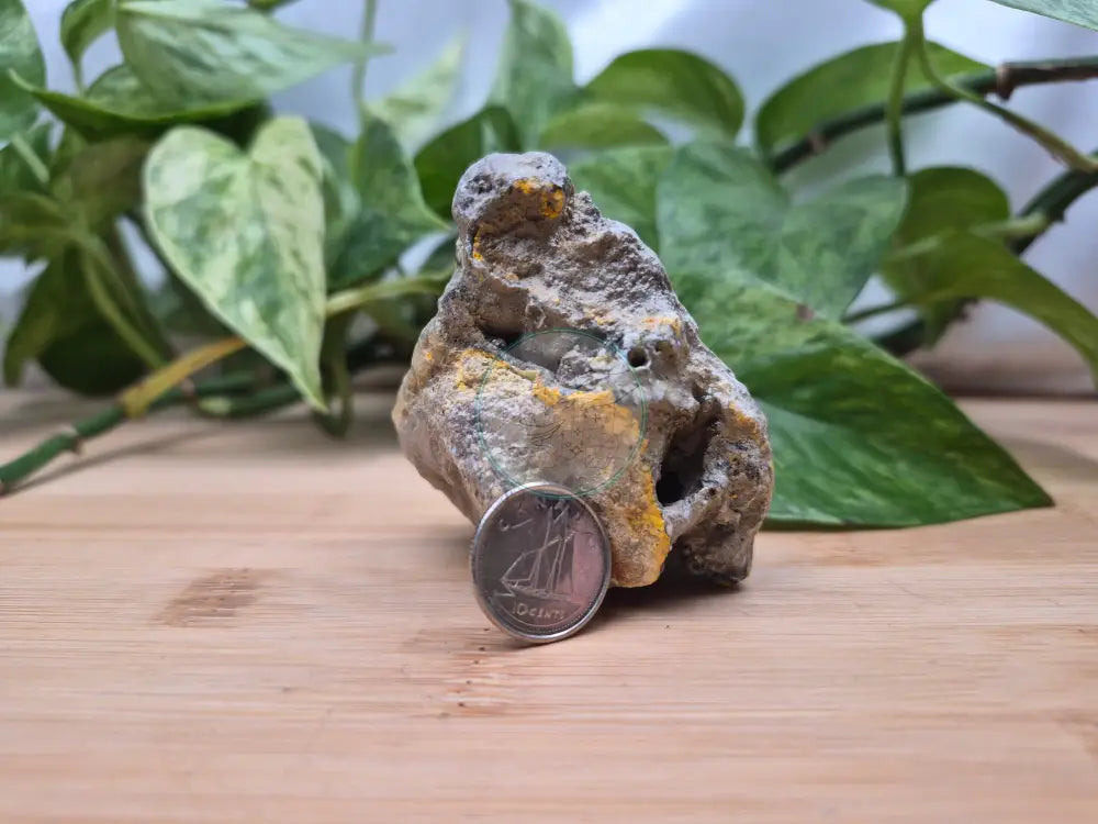 BUMBLEBEE JASPER ROUGH CHUNK