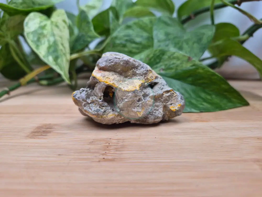BUMBLEBEE JASPER ROUGH CHUNK