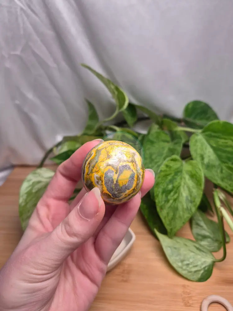 BUMBLEBEE JASPER SPHERE