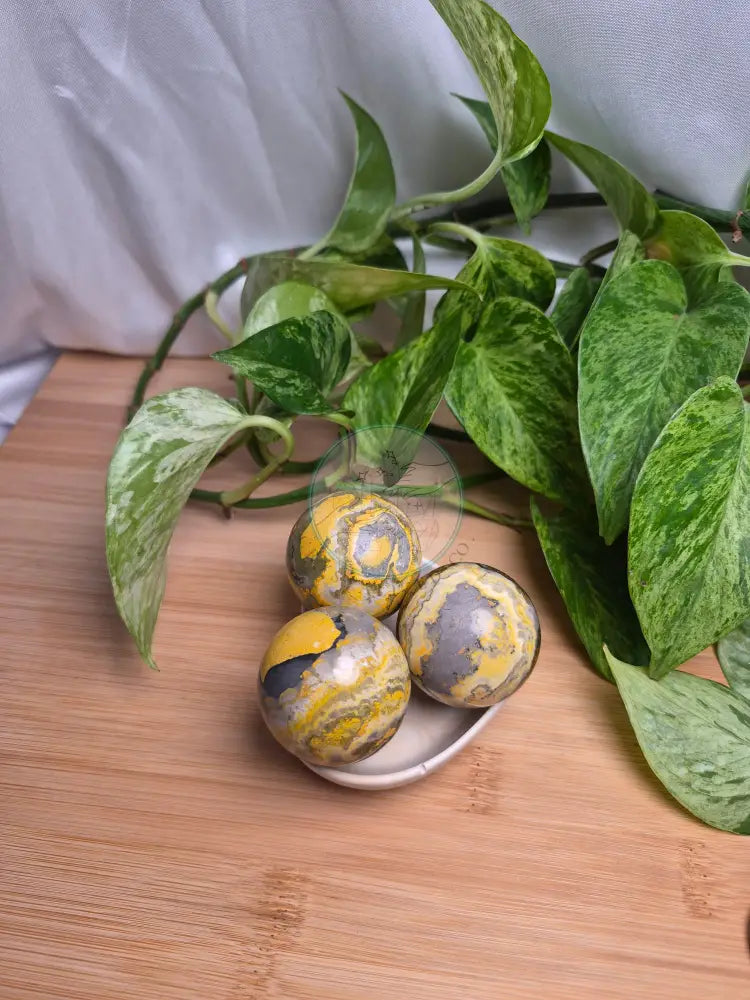BUMBLEBEE JASPER SPHERE