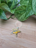 BUMBLEBEE JASPER STAR