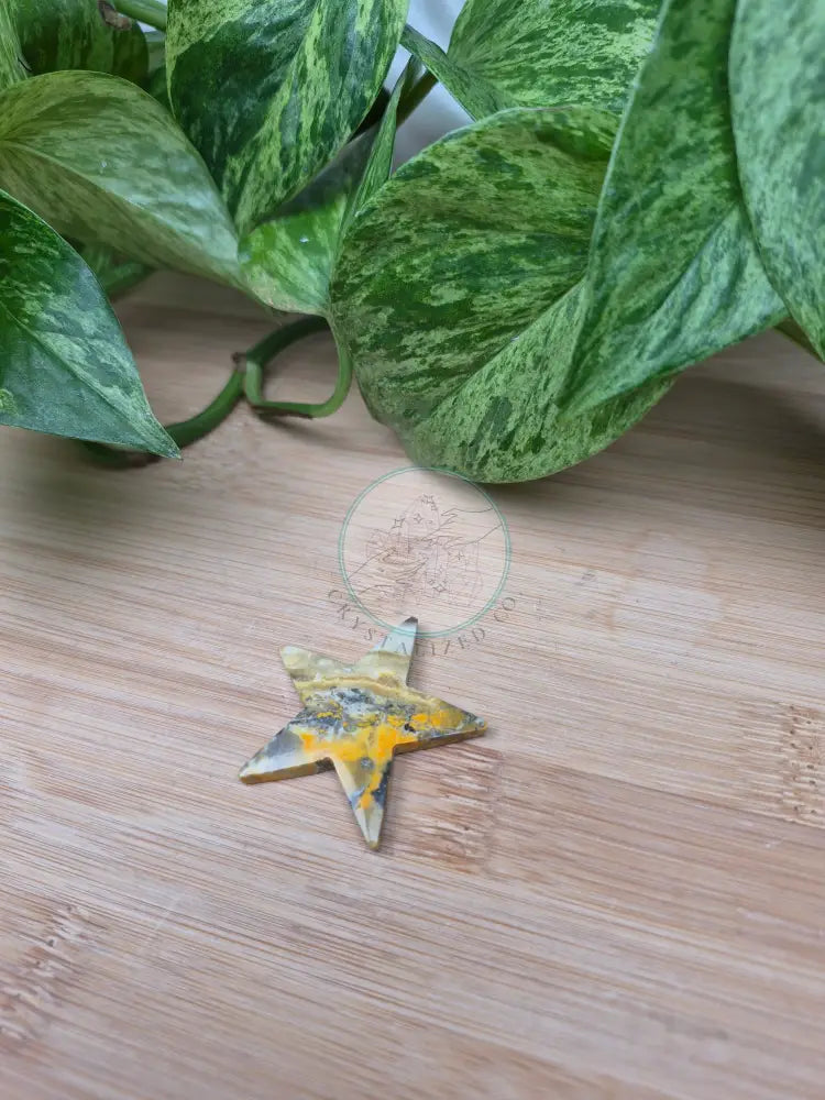 BUMBLEBEE JASPER STAR