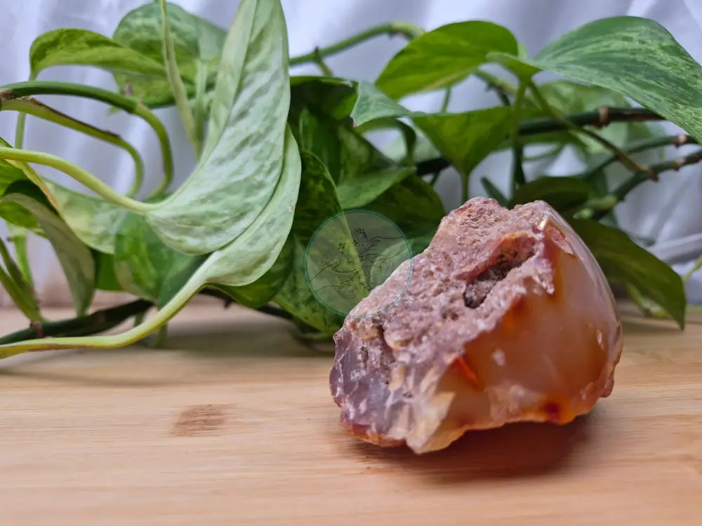 CARNELIAN AGATE SPECIMEN