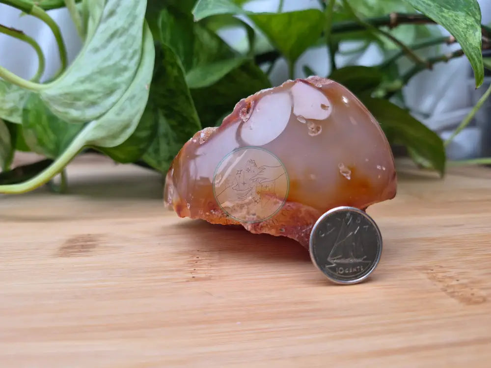 CARNELIAN AGATE SPECIMEN