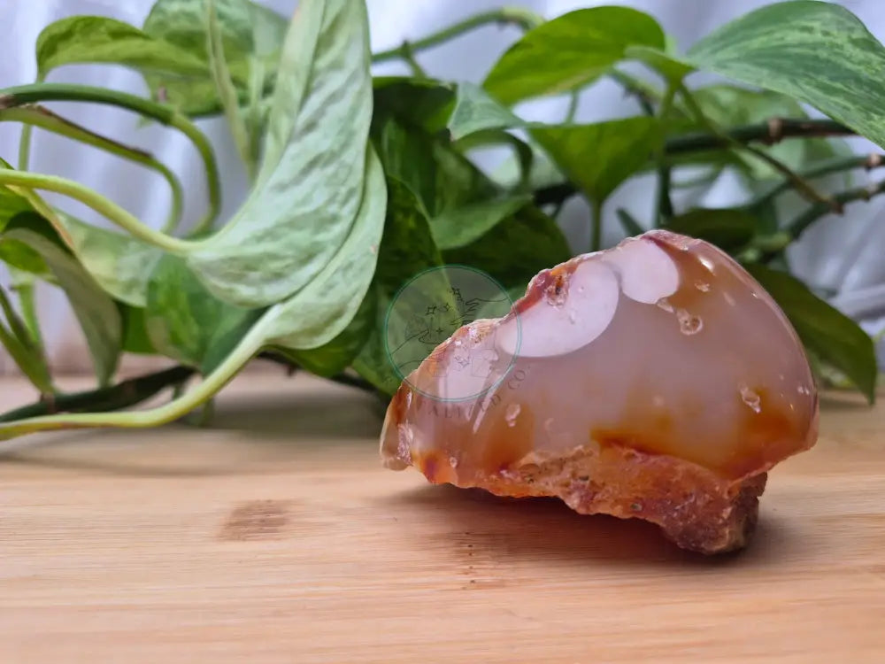 CARNELIAN AGATE SPECIMEN
