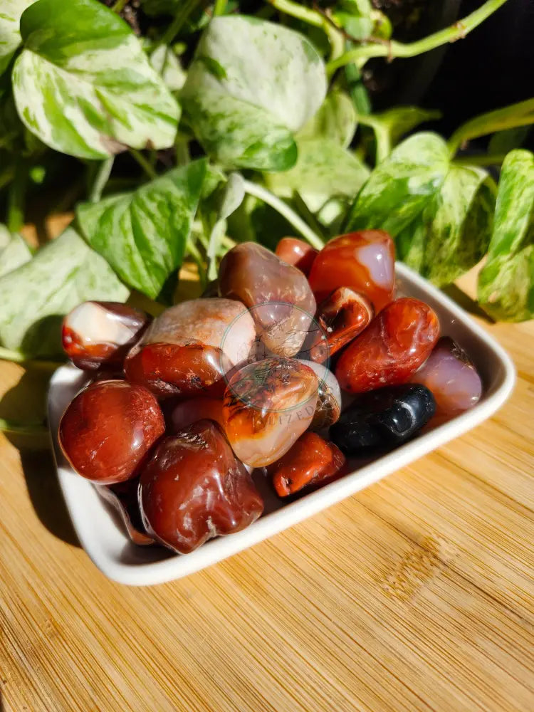 CARNELIAN AGATE TUMBLED STONE - TUMBLED STONES