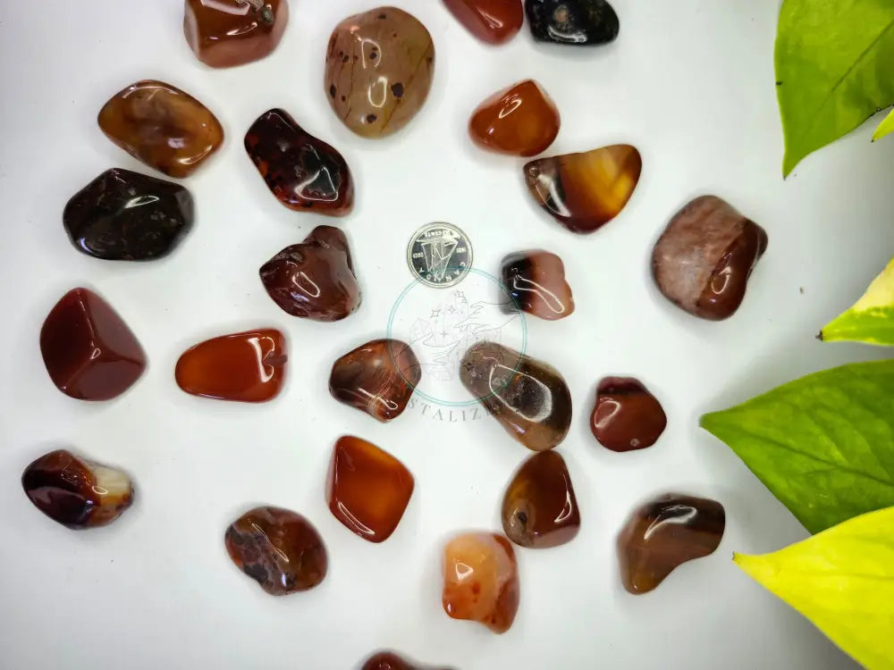 CARNELIAN AGATE TUMBLED STONE - TUMBLED STONES