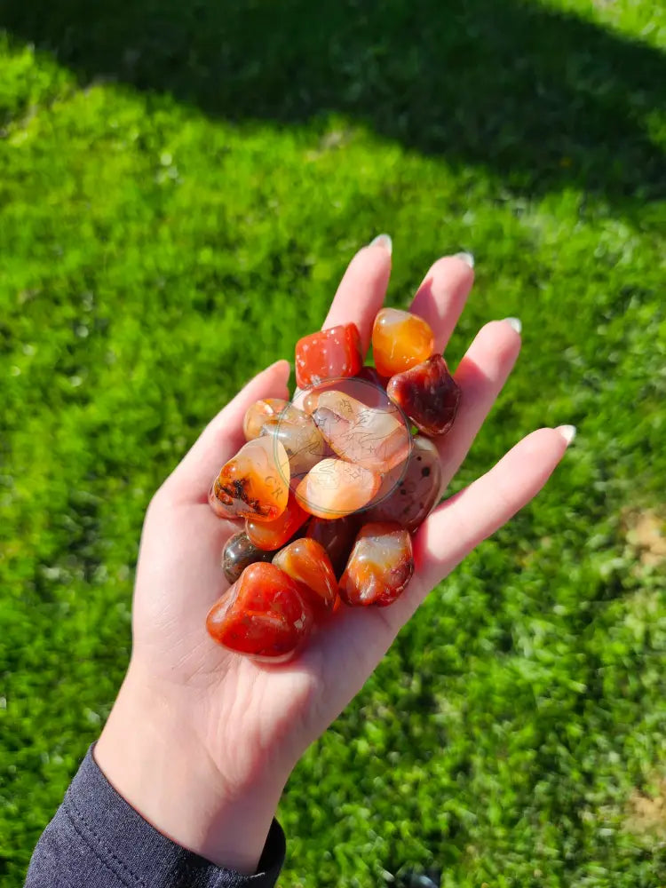 CARNELIAN AGATE TUMBLED STONE - TUMBLED STONES