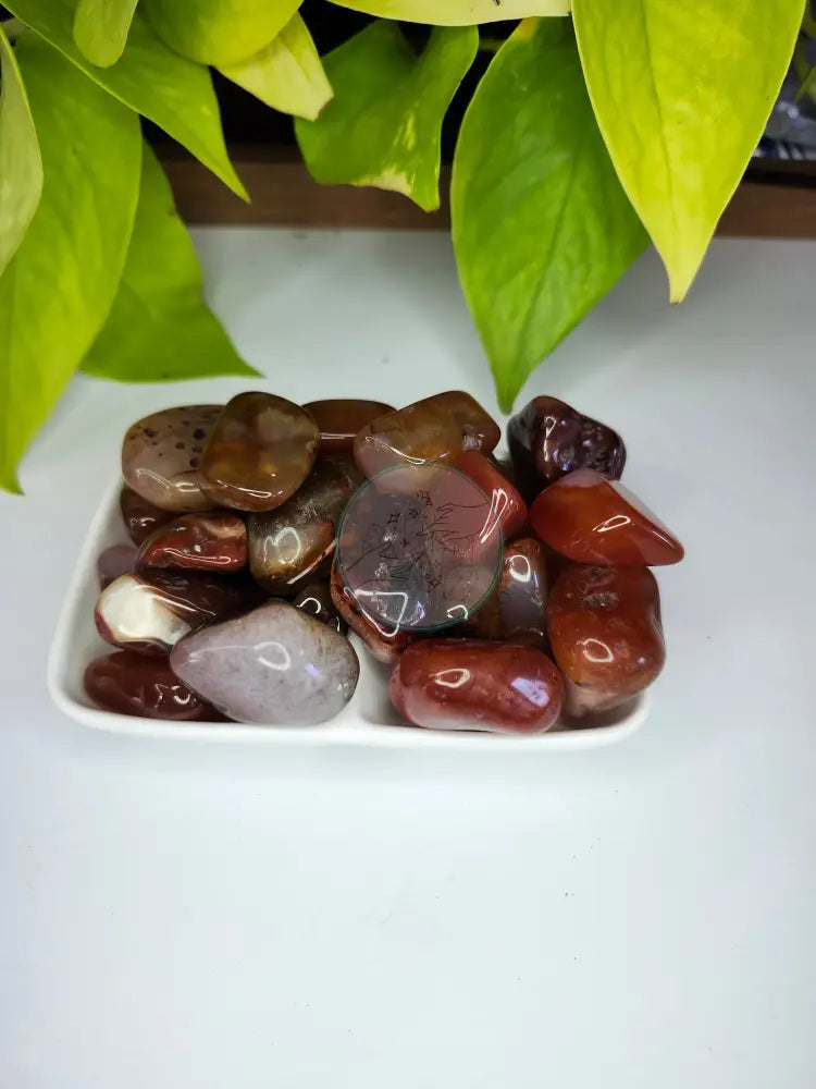 CARNELIAN AGATE TUMBLED STONE - TUMBLED STONES