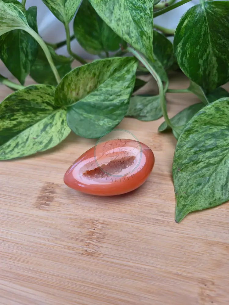 CARNELIAN ’EGG’-ATE