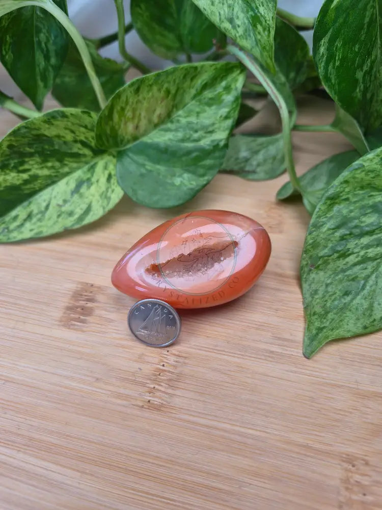 CARNELIAN ’EGG’-ATE