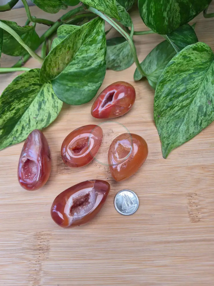 CARNELIAN ’EGG’-ATE