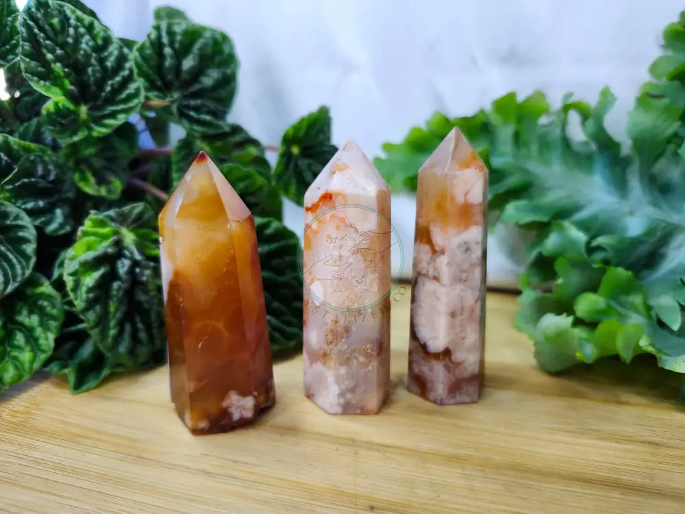 CARNELIAN & FLOWER AGATE TOWER