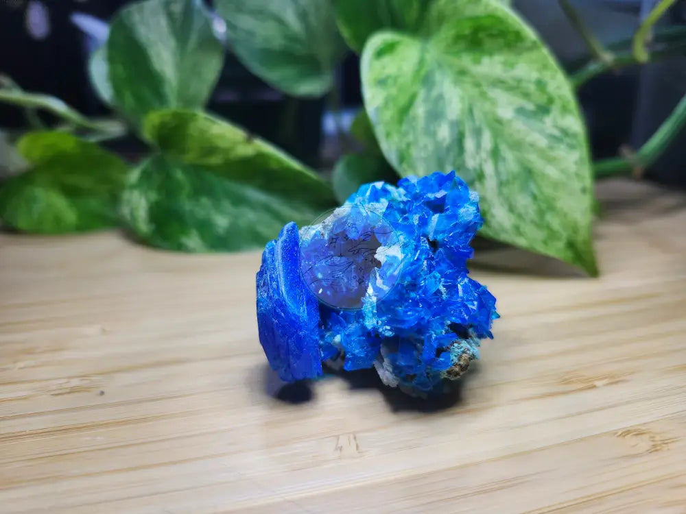 CHALCANTHITE SPECIMEN