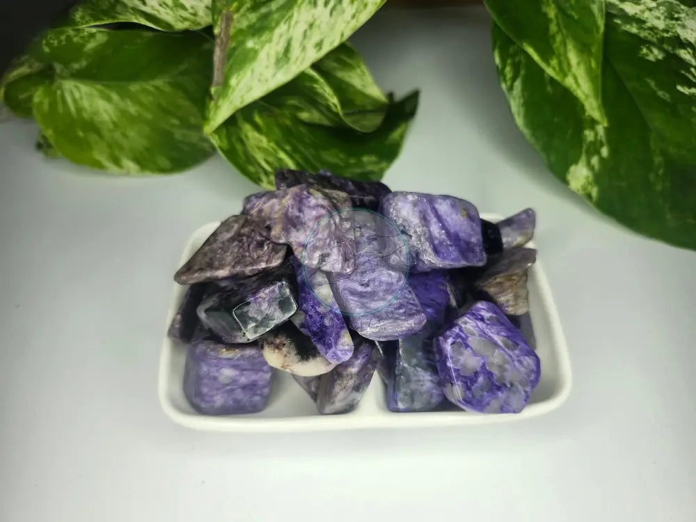 CHAROITE TUMBLED STONES - TUMBLED STONES