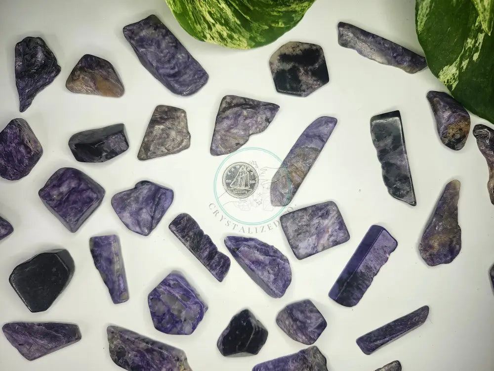 CHAROITE TUMBLED STONES - TUMBLED STONES