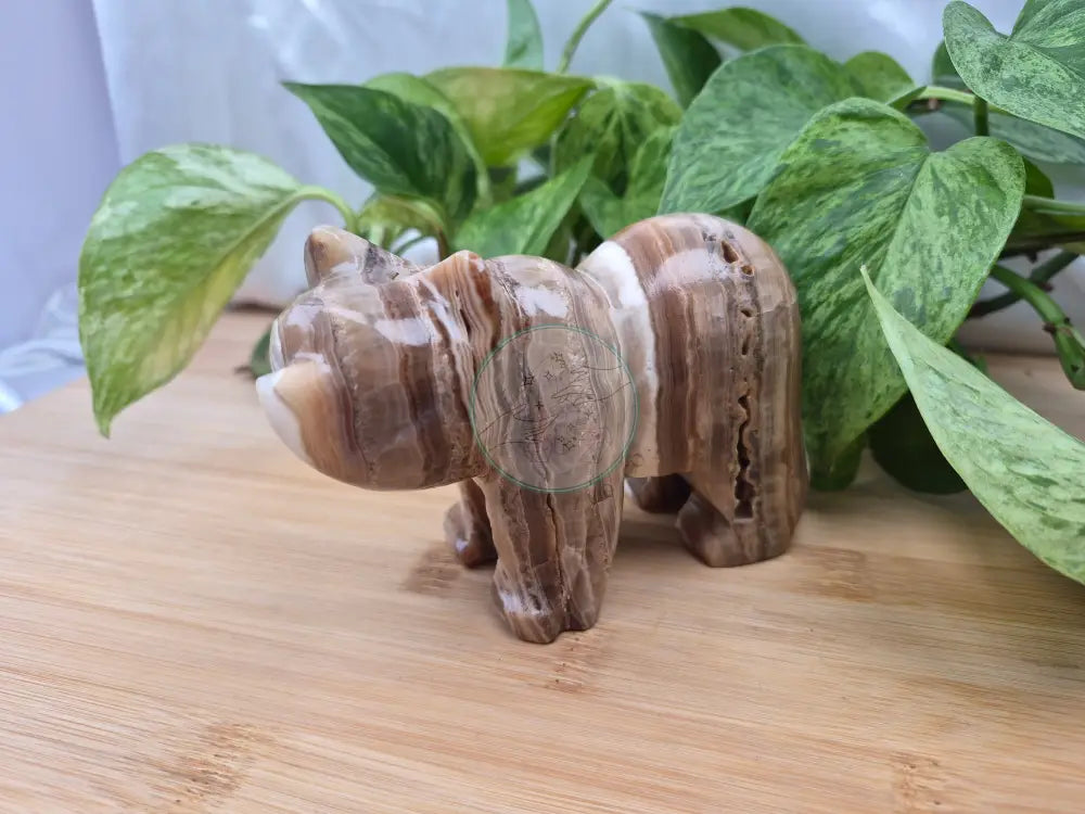 CHOCOLATE CALCITE BEAR