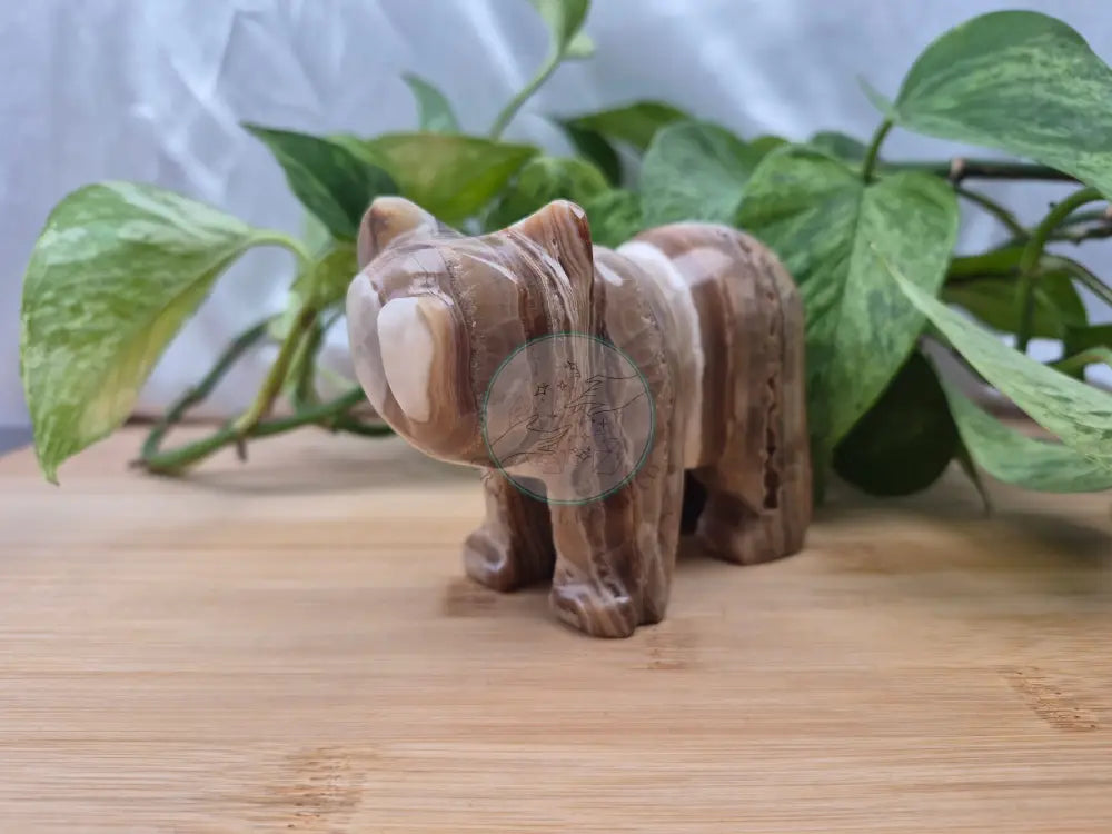CHOCOLATE CALCITE BEAR