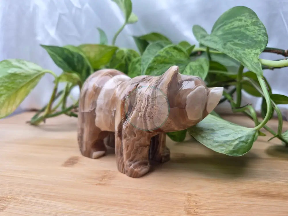 CHOCOLATE CALCITE BEAR