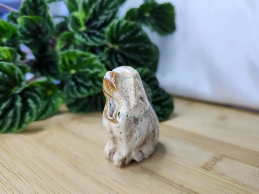 CHOCOLATE CALCITE DOG