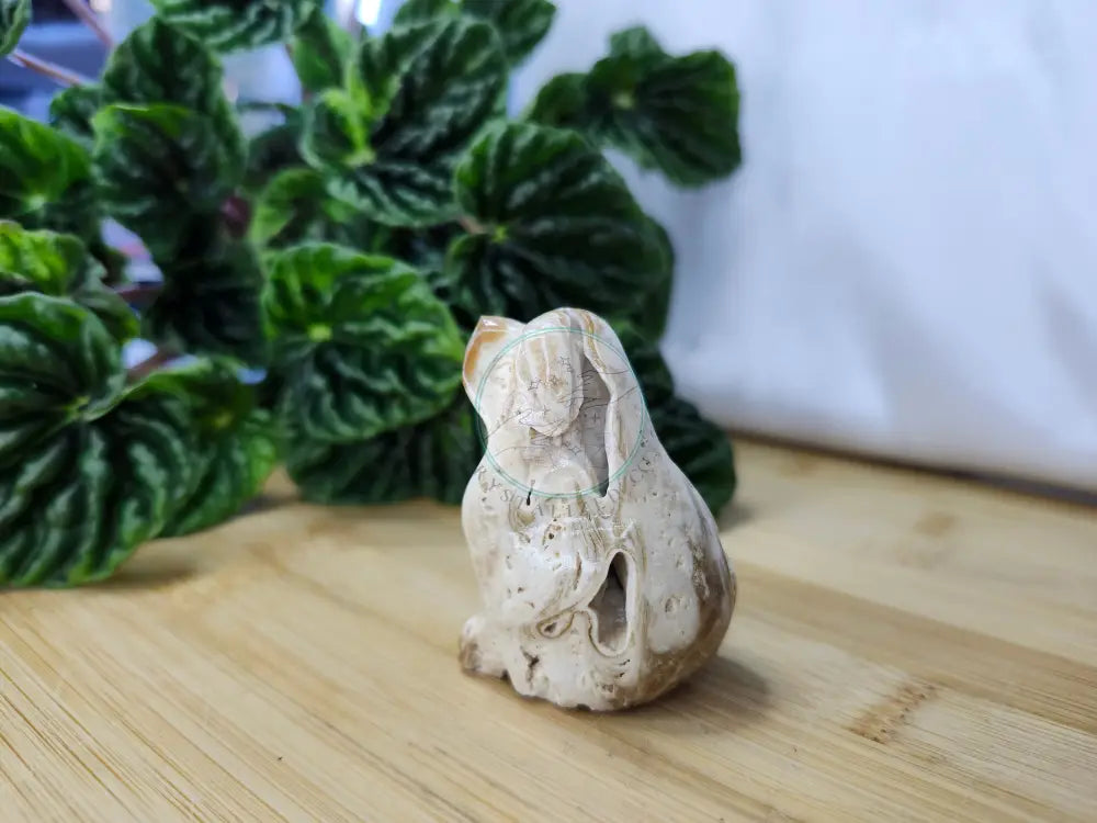 CHOCOLATE CALCITE DOG