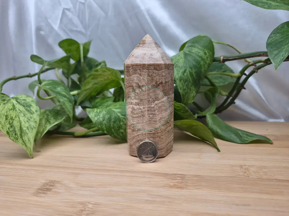 CHOCOLATE CALCITE TOWER