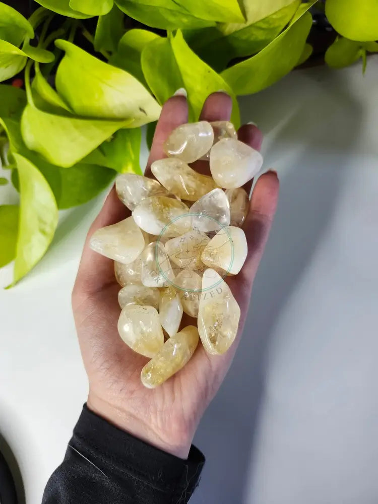 CITRINE TUMBLED STONE - TUMBLED STONES
