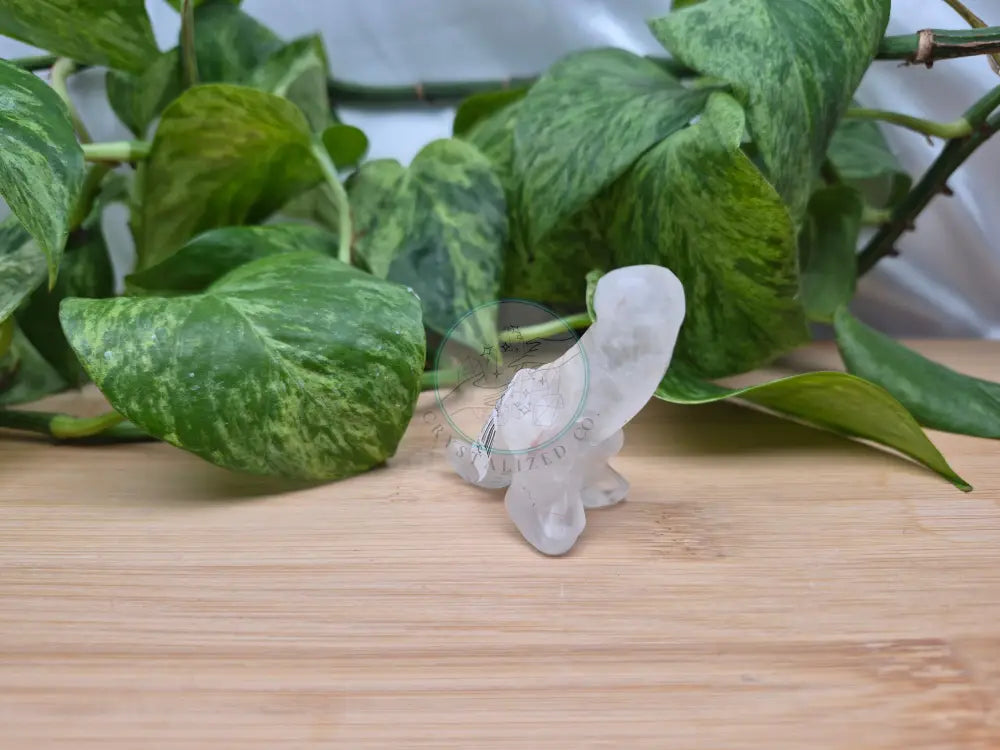 CLEAR QUARTZ DICK-A-SAUROUS