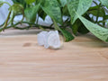 CLEAR QUARTZ HIPPO