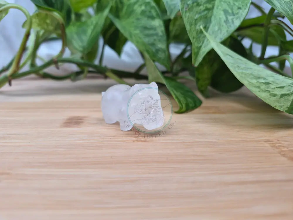 CLEAR QUARTZ HIPPO