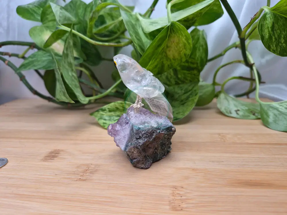 CLEAR QUARTZ PARROT ON AMETHYST BASE