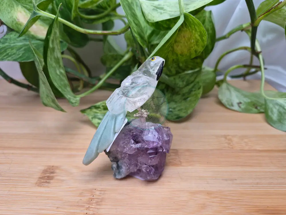 CLEAR QUARTZ PARROT ON AMETHYST BASE