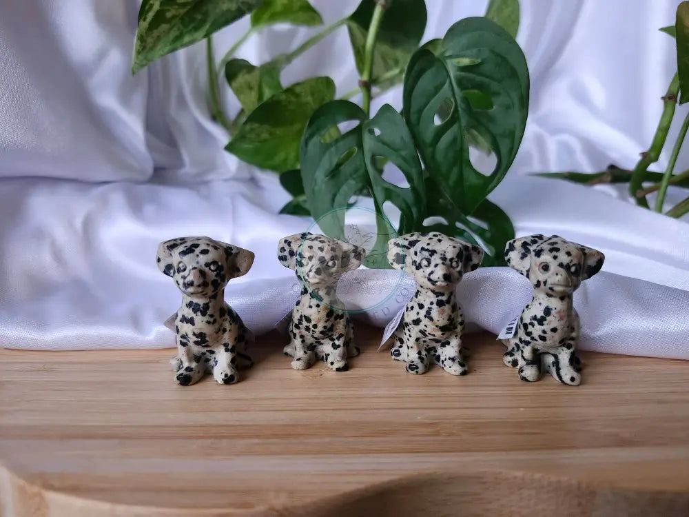 DALMATIAN JASPER DOG - CARVING