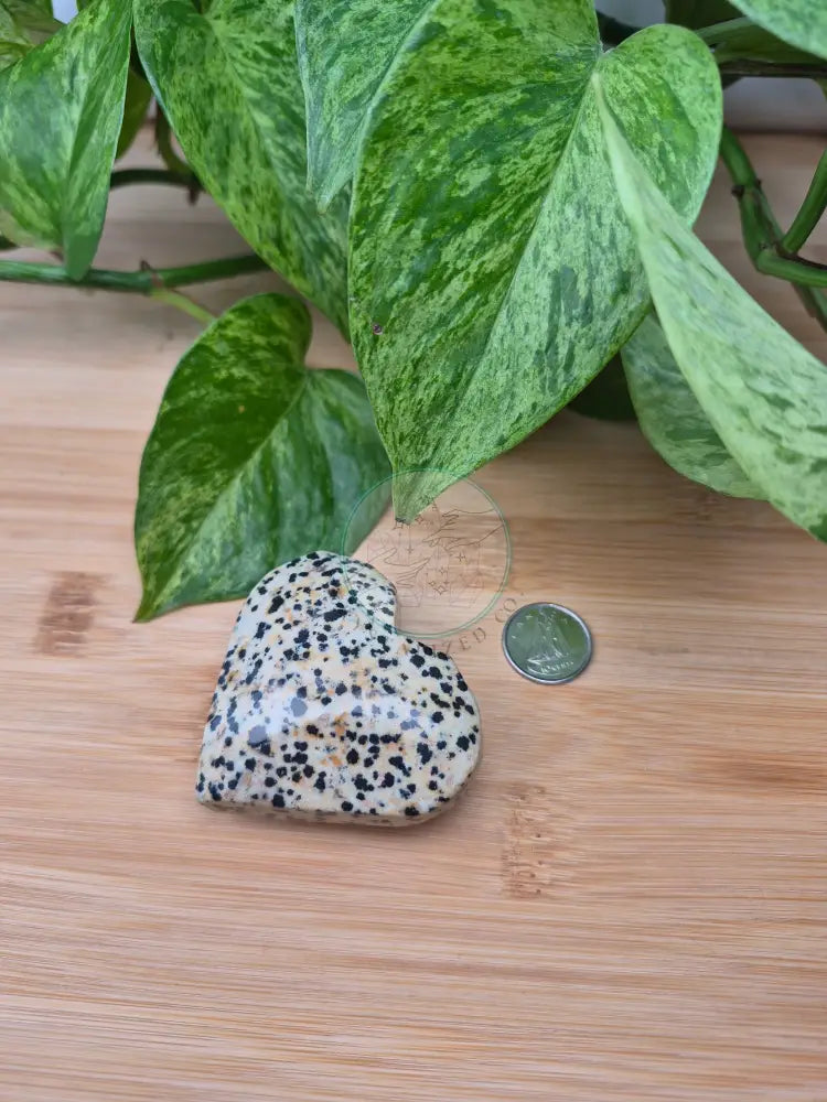 DALMATION JASPER HEART