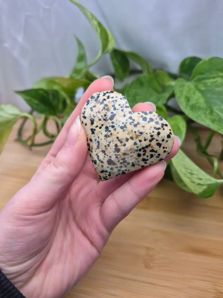 DALMATION JASPER HEART