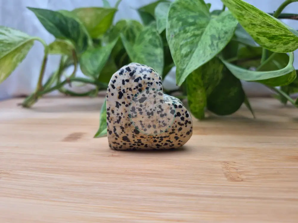 DALMATION JASPER HEART