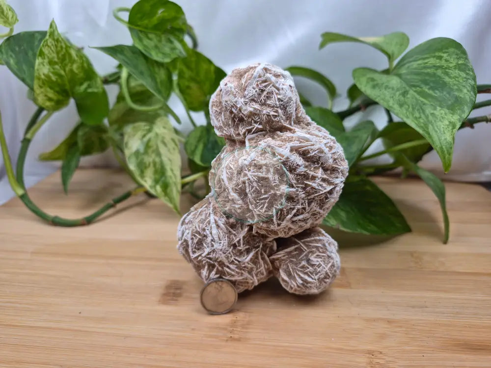 DESERT ROSE LARGE ROUGH CHUNK