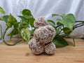 DESERT ROSE LARGE ROUGH CHUNK