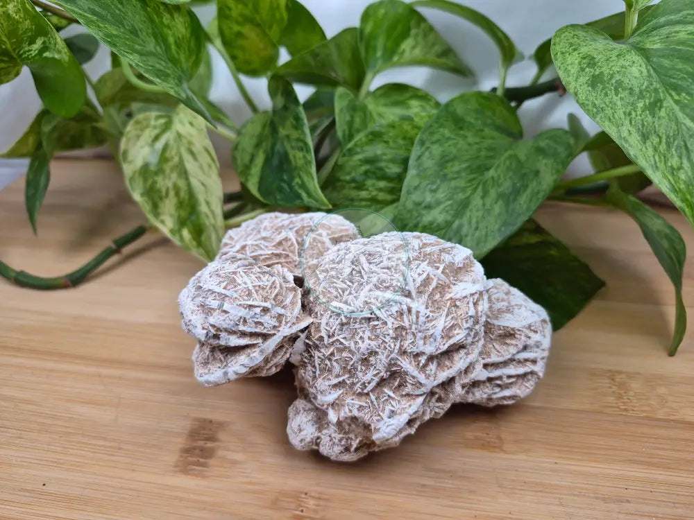 DESERT ROSE LARGE ROUGH CHUNK