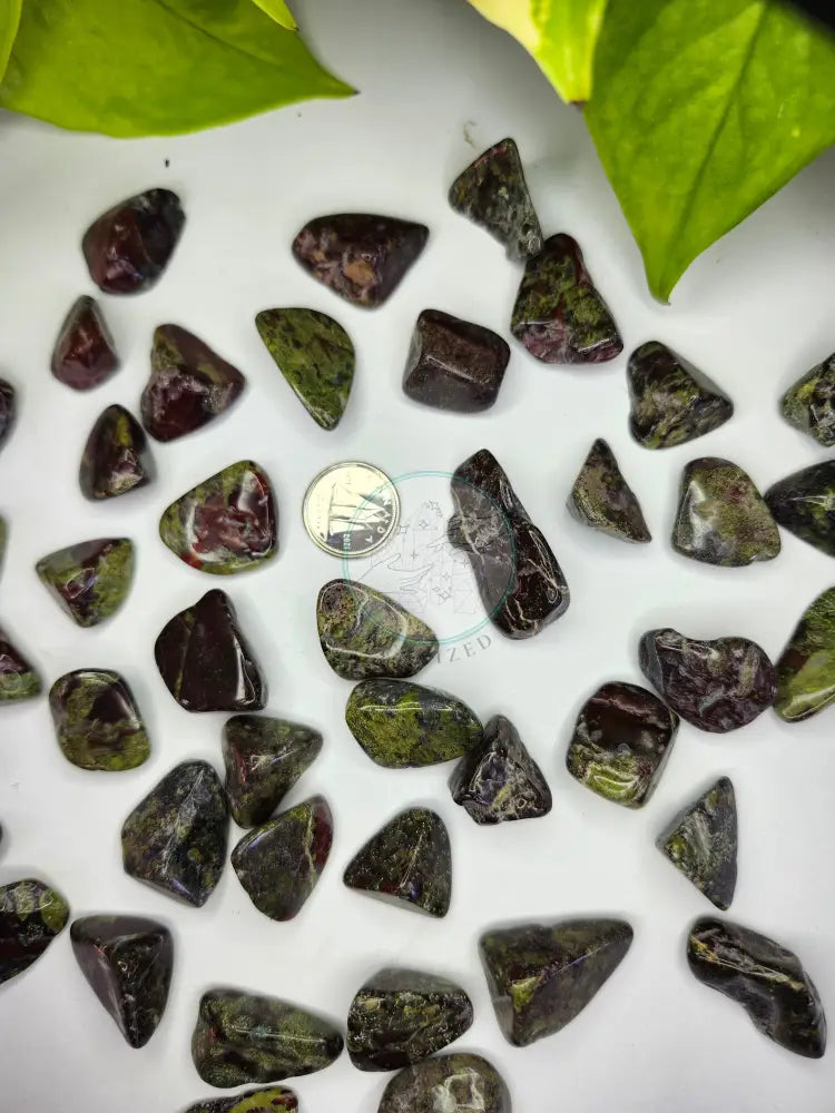 DRAGON BLOODSTONE JASPER TUMBLED STONE - TUMBLED STONES
