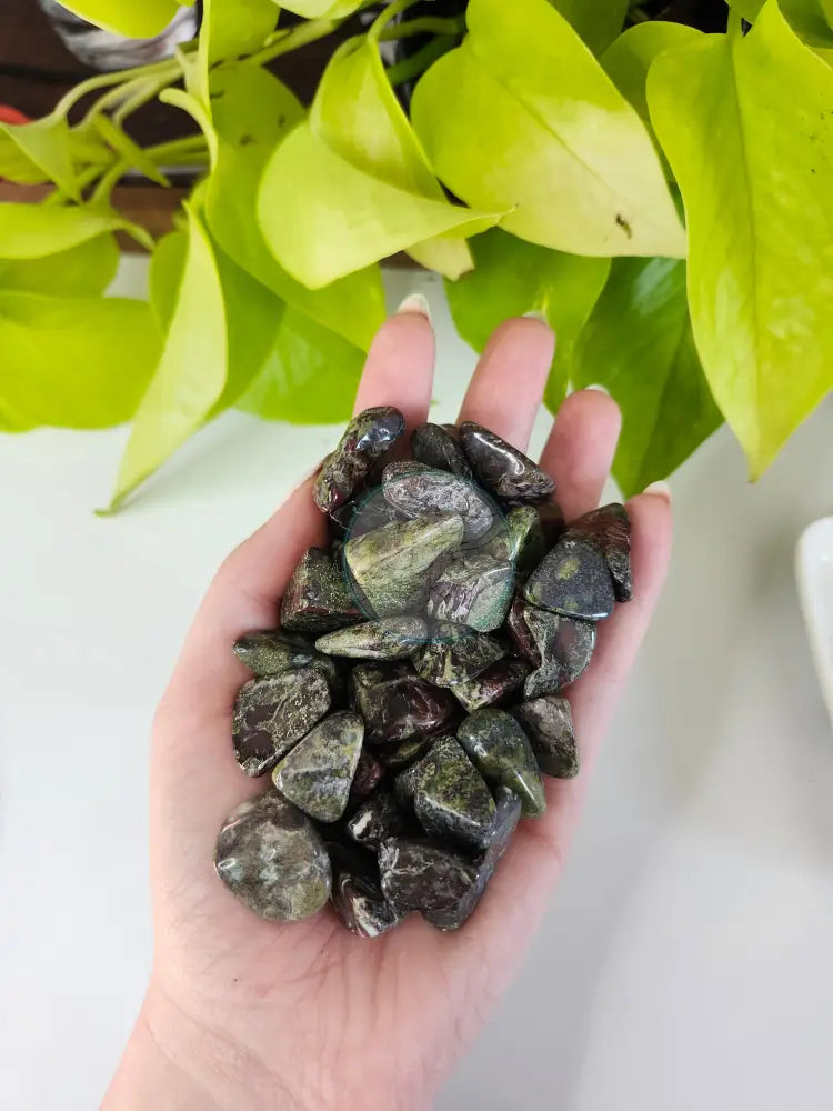 DRAGON BLOODSTONE JASPER TUMBLED STONE - TUMBLED STONES