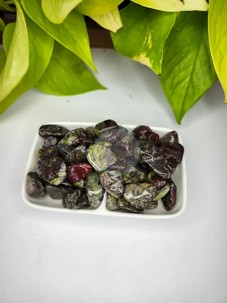DRAGON BLOODSTONE JASPER TUMBLED STONE - TUMBLED STONES
