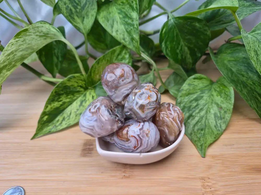 ENHYDRO AGATE SIZE SM (25-49G)