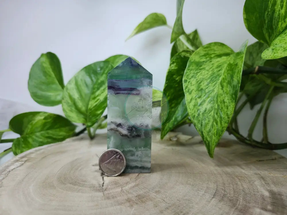 FEATHER FLUORITE TOWER