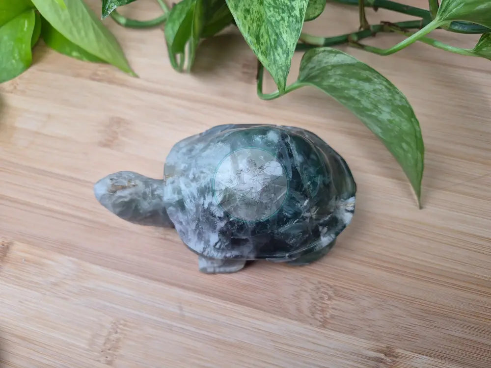 FEATHER FLUORITE TURTLE