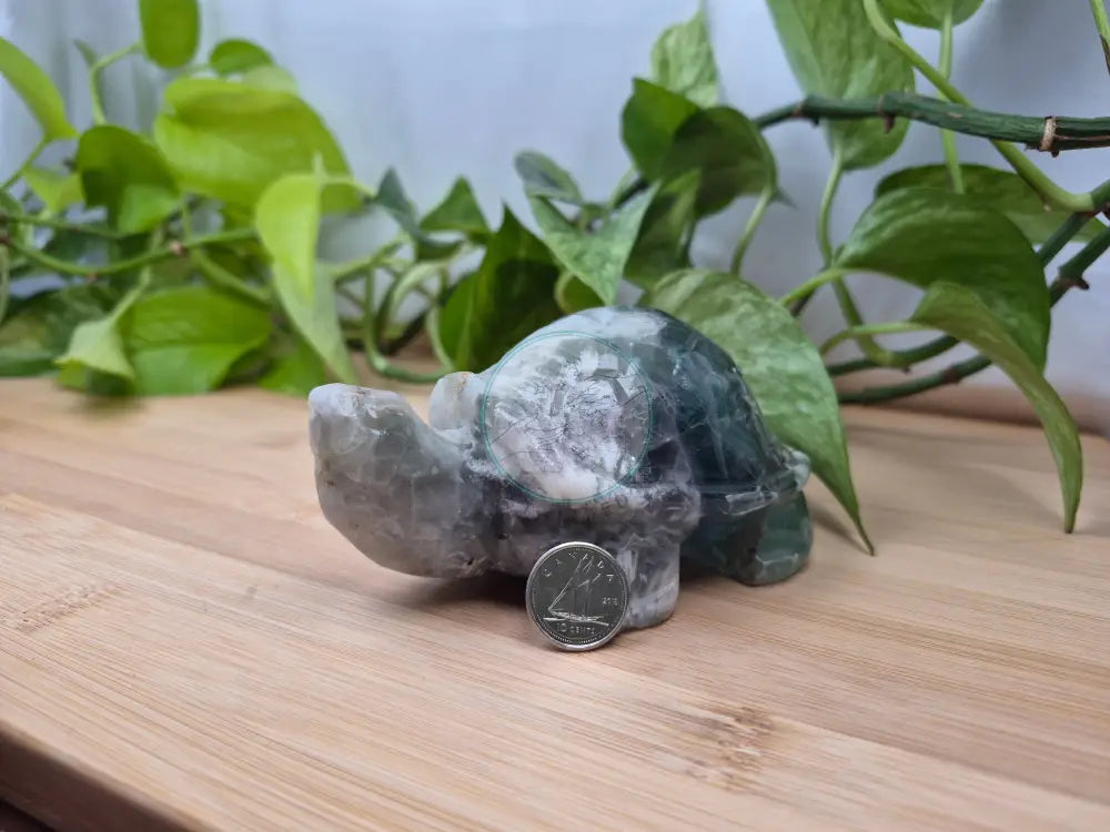 FEATHER FLUORITE TURTLE