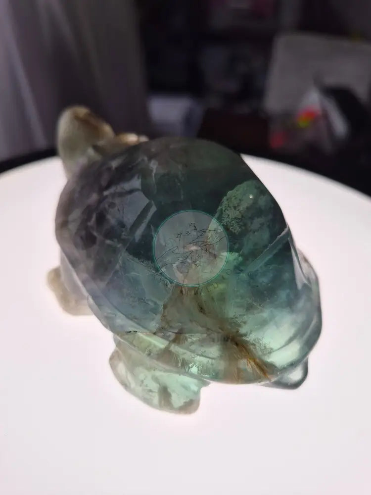 FEATHER FLUORITE TURTLE