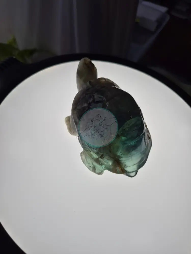 FEATHER FLUORITE TURTLE